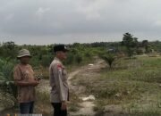 Polsek Karang Dapo Cek Lahan Jagung Warga, Dukung Ketahanan Pangan Nasional