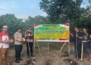 Polsek Muara Rupit Cek Lahan Jagung, Dukung Ketahanan Pangan Nasional