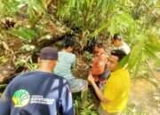 Warga Resah, Pemdes Kuto Tanjung Bersama BKSDA Sumsel Cek Laporan Kemunculan Harimau
